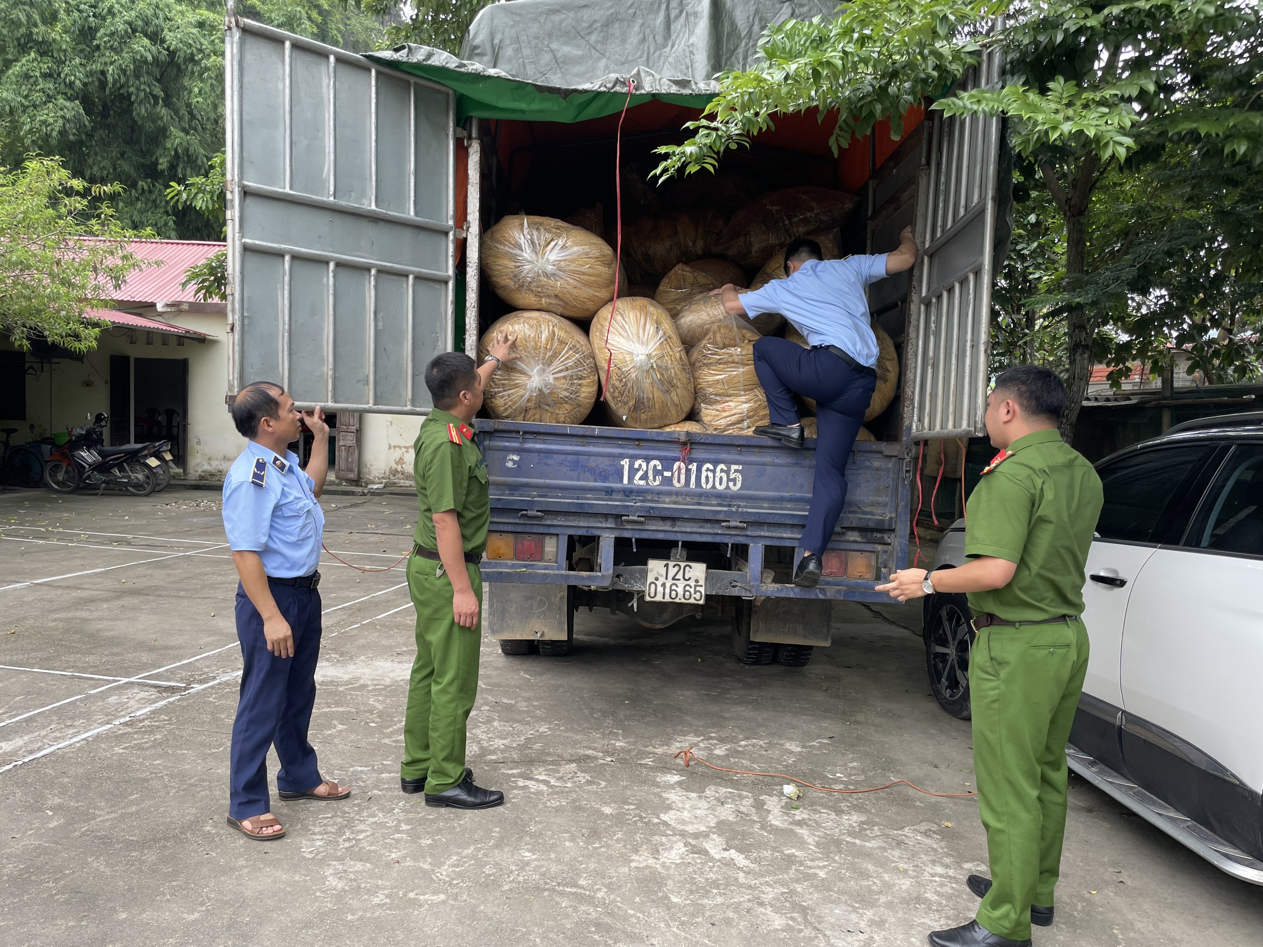 Thu mua nguyên liệu lá thuốc lá “chui” bị phạt 25 triệu đồng